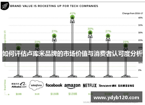 如何评估卢库米品牌的市场价值与消费者认可度分析