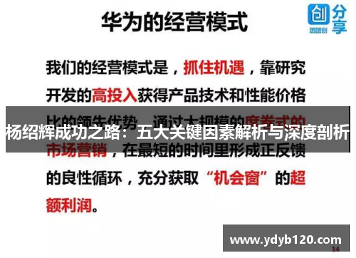 杨绍辉成功之路：五大关键因素解析与深度剖析