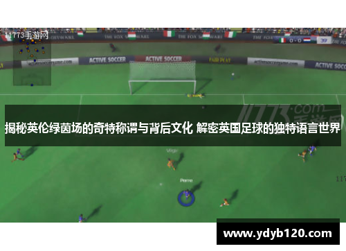 揭秘英伦绿茵场的奇特称谓与背后文化 解密英国足球的独特语言世界